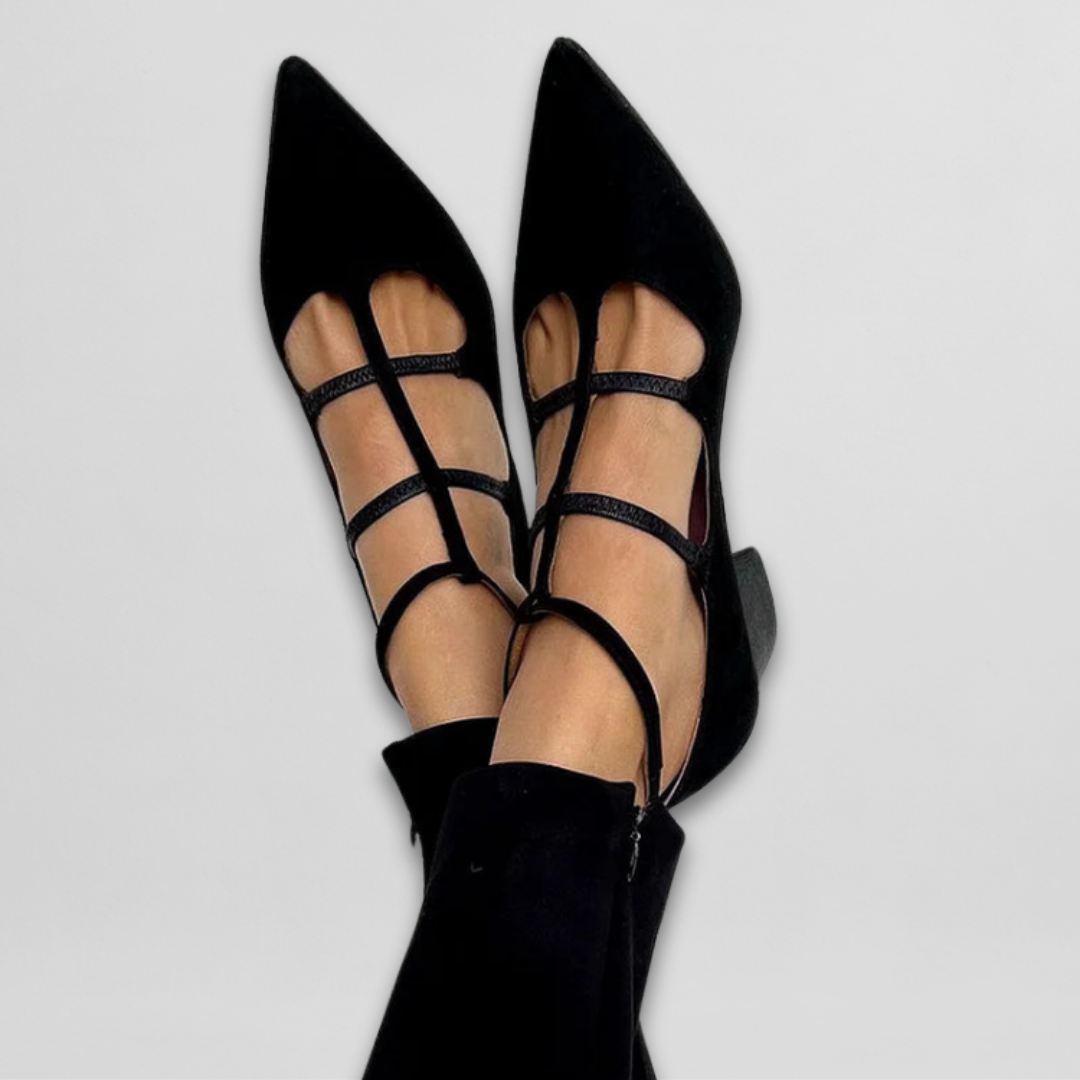 Elegance Heeled Pumps